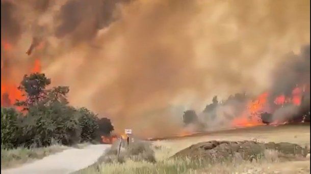 Israel, en llamas: hay miles de evacuados y declararon la emergencia nacional