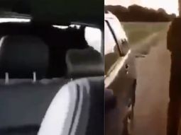 Cazaron a un jabalí que se les despertó adentro del auto