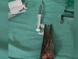 Un pez espada le atravesó el cuello mientras pescaba