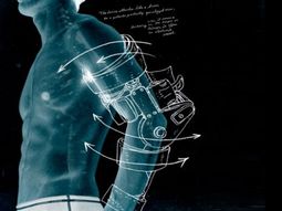 ¿Cuál es el futuro que le depara a la humanidad?