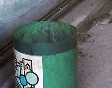 Invasión de ratas en el Palacio Municipal