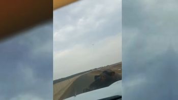 video: conductor sobrevivio al ataque de un hipopotamo muy enojado video: conductor sobrevivio al ataque de un hipopotamo muy enojado