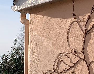 Acá está el culpable, afirmó la damnificada