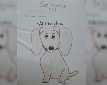 Se le perdió su perrita
