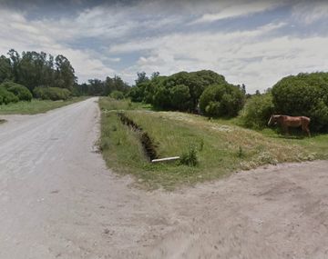 Intentó fugarse a caballo y lo persiguió la policía: se cayó y se quebró la pierna