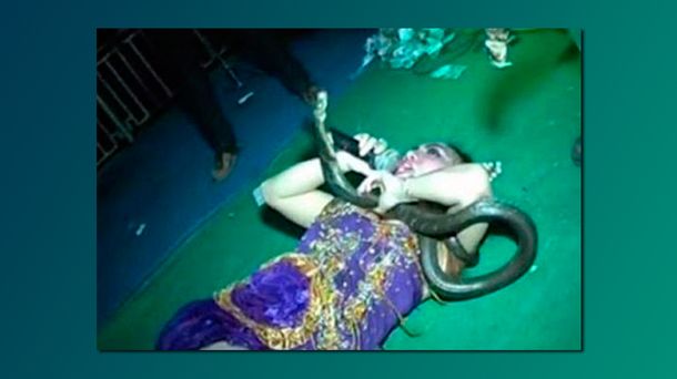 Murió una cantante sobre el escenario tras ser mordida por una serpiente venenosa