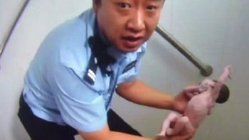 milagroso rescate de una beba abandonada en un bano milagroso rescate de una beba abandonada en un bano