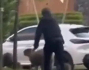 Indignante ataque a carpinchos en Nordelta: los golpearon para ahuyentarlos