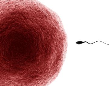 Medicina reproductiva: todo sobre sus últimos avances