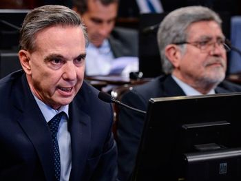 Otro comentario xenófobo de Pichetto: se quejó por el regreso de la mujer peruana que había sido deportada