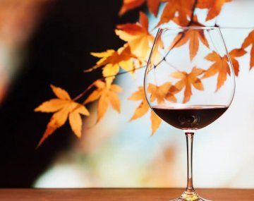 ¿Cuál es el mejor vino tinto para tomar durante el otoño?