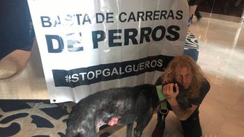 El encuentro entre Tango y Steve Adler El encuentro entre Tango y Steve Adler