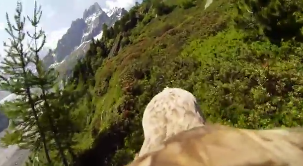 VIDEO: El punto de vista de un águila