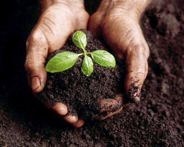 Ecologia