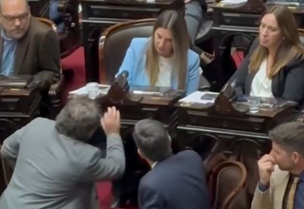 Así le gritaba Cristian Ritondo a Silvia Lospennato en plena sesión por votar contra el veto de Javier Milei