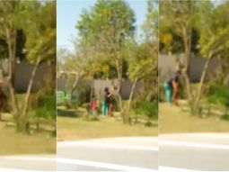 VIDEO: Una mujer apuñaló y dejó desangrar a un perro