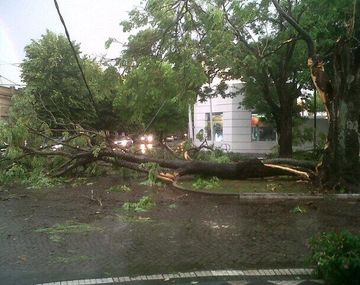 @CardosoClaudio9 La Plata