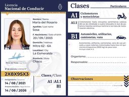 Entró en vigencia la licencia de conducir digital.