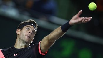 Juan Martín del Potro en Miami Juan Martín del Potro en Miami