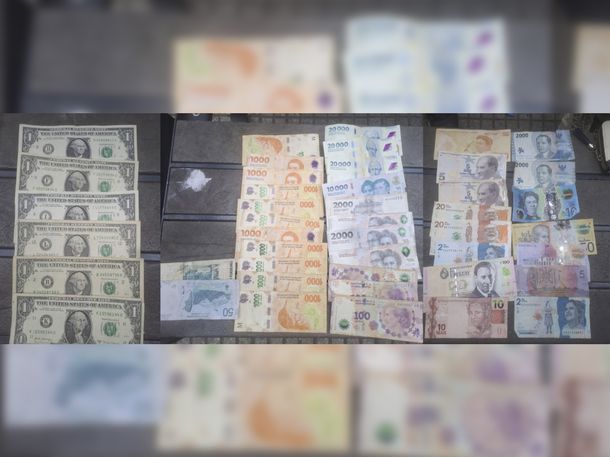 La mujer tenía en su poder varios billetes de distintas monedas extranjeras