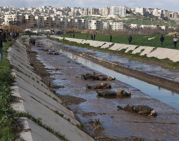 Hallan 80 cuerpos de jóvenes con signos de tortura en Siria