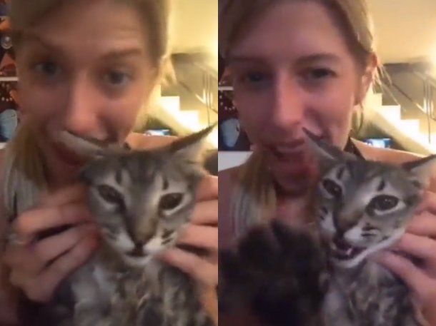 Video: Camila de Gran Hermano maltrató a un gato y generó el repudio de las redes