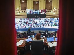 El Senado aprobó la prórroga de las sesiones virtuales