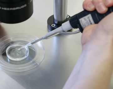 El acceso a la ley de fertilización asistida no tendrá límites de edad