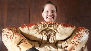 Crab smile Crab smile