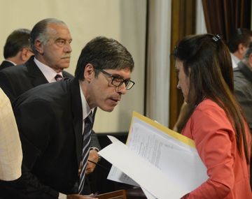 Abal Medina en el Senado