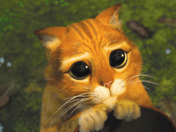 Los signos que son los más adorables de todo el zodiaco. Los signos que son los más adorables de todo el zodiaco.