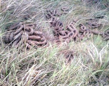 Pehuajó: casi 150 intoxicados por chorizos secos