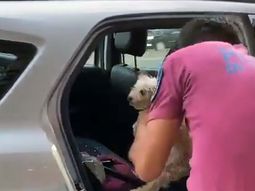 Policía rompió el vidrio de un auto para rescatar a un perrito encerrado