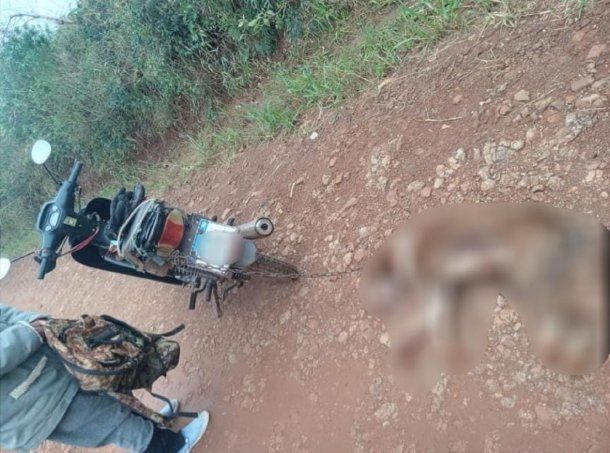 Un hombre arrastró a un perro con una moto en Misiones