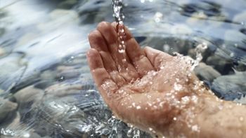 ¿por que se nos arrugan los dedos cuando estamos en el agua?