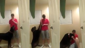 perro consuela a una chica con autismo perro consuela a una chica con autismo