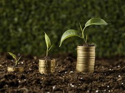 Bonos Indexados a Indicadores de Cambio Climático (BIICC). Bonos Indexados a Indicadores de Cambio Climático (BIICC).