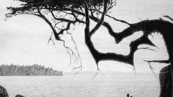 Encontrá al bebé perdido en esta imagen Encontrá al bebé perdido en esta imagen