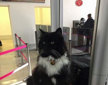 Qué trabajo hace Félix