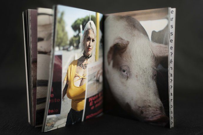 Es fotógrafa y retrata a los animales que ingresan al matadero: La cámara me impermeabiliza del dolor que puedo sentir