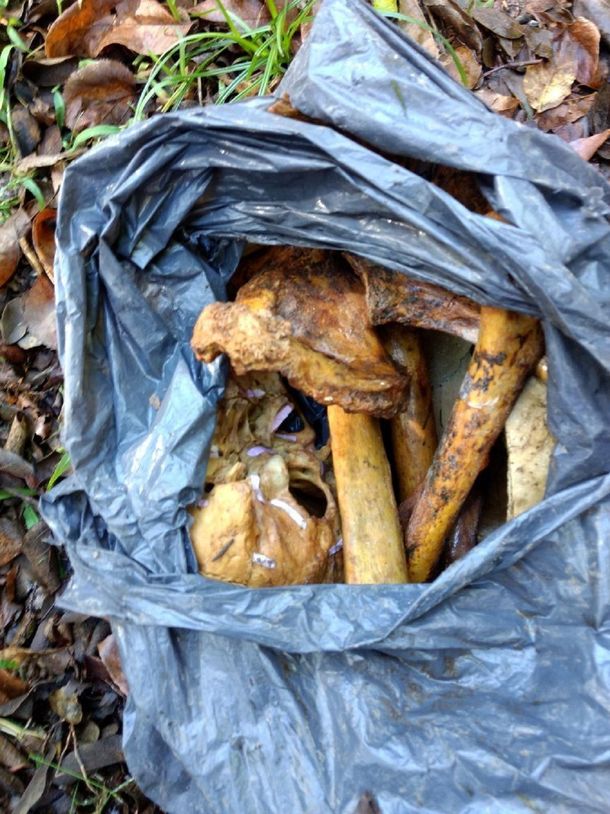 Encontraron huesos humanos en una bolsa de basura en City Bell