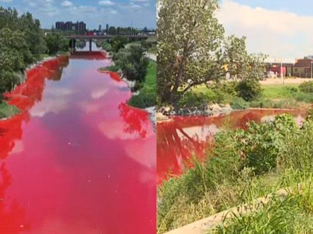 Preocupación en Avellaneda: el arroyo Sarandí se tiñó de rojo