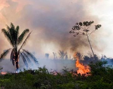 Incendios en el Amazonas: Bolsonaro prohíbe por dos meses la quema de campos