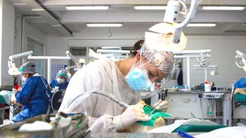 el hospital odontologico de la uba brindara atencion durante enero y febrero para cubrir la alta demanda el hospital odontologico de la uba brindara atencion durante enero y febrero para cubrir la alta demanda