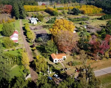 Un destino rural de Buenos Aires con un millón de árboles: la escapada ideal para relajarse
