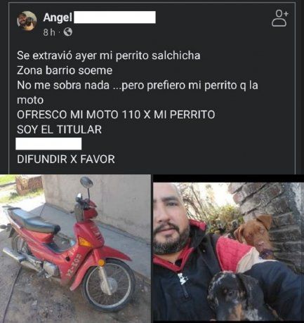 Conmovedora historia viral: ofreció su moto como recompensa para recuperar a su perro perdido