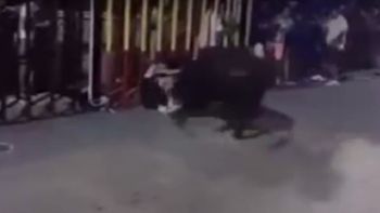 video: la impactante corneada que sufrio un adolescente en un festival en espana video: la impactante corneada que sufrio un adolescente en un festival en espana