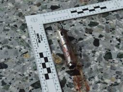 Así era la bomba que explotó el terrorista suicida en el Manchester Arena Así era la bomba que explotó el terrorista suicida en el Manchester Arena