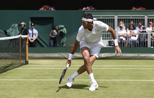 Delpo vuelve a pisar el césped en Holanda