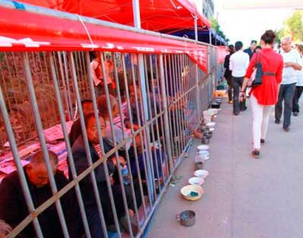 Instalan jaulas en la calle para que mendigos no molesten a los turistas